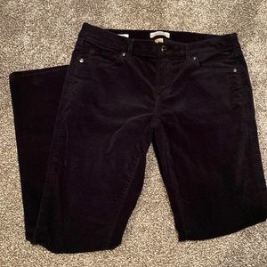 Loft Modern Skinny Velvet Jean